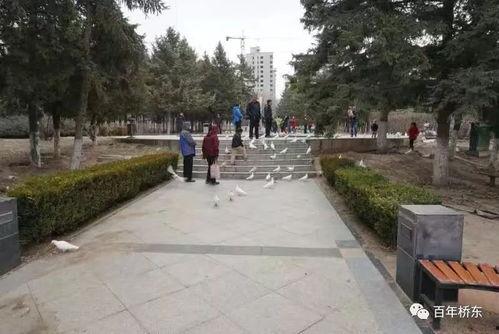 张家口公园爆料视频,揭秘公园里的惊人秘密 第1张 张家口公园爆料视频,揭秘公园里的惊人秘密 第1张