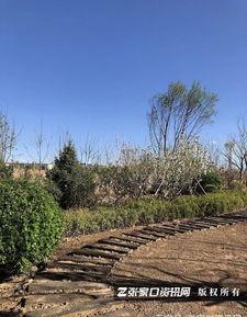 张家口公园爆料视频,揭秘公园里的惊人秘密 第2张 张家口公园爆料视频,揭秘公园里的惊人秘密 第2张