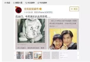 卓伟新爆料文章大全最新,揭秘娱乐圈最新猛料，独家揭秘明星幕后故事  第1张