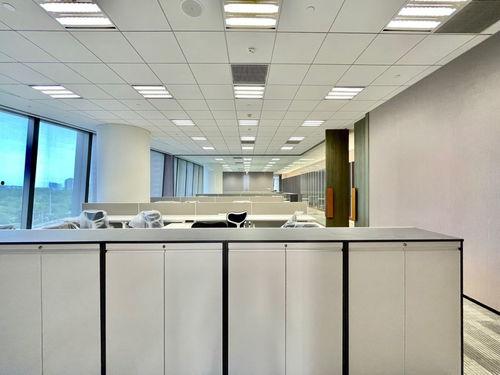 文玩胖子爆料视频大全集,一场文玩界的风云际会  第3张